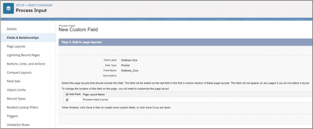 Salesfroce CPQ New Custom Field Add to Page Layout Detalis